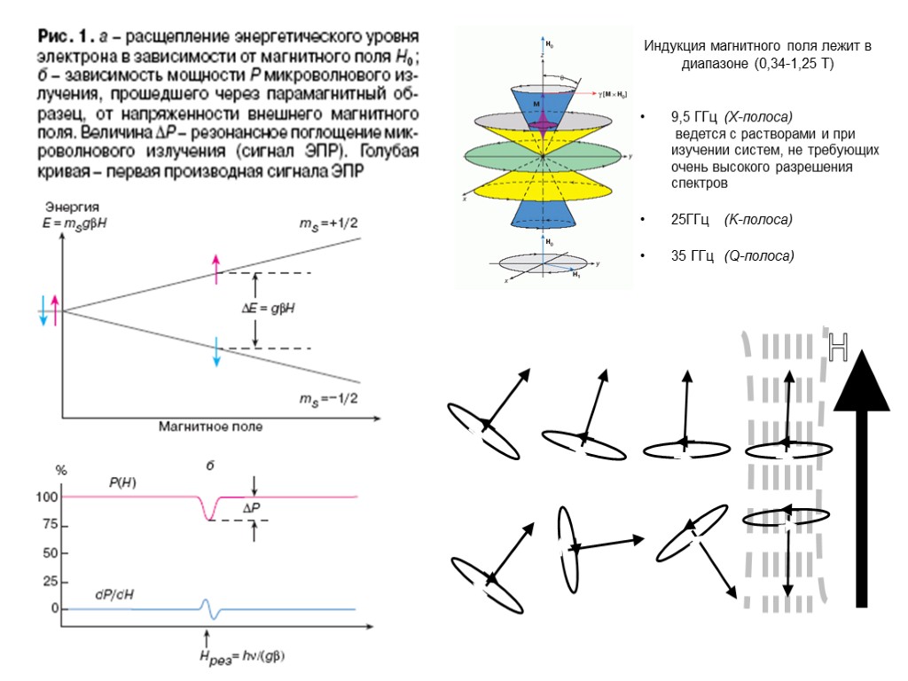 Индукция магнитного поля лежит в диапазоне (0,34-1,25 Т) 9,5 ГГц (X-полоса) ведется с растворами